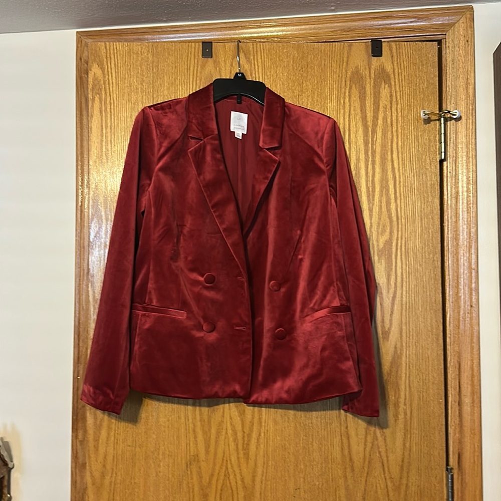 NWT long sleeve velvet blazer, inside and outside buttons, pockets. Size Medium.